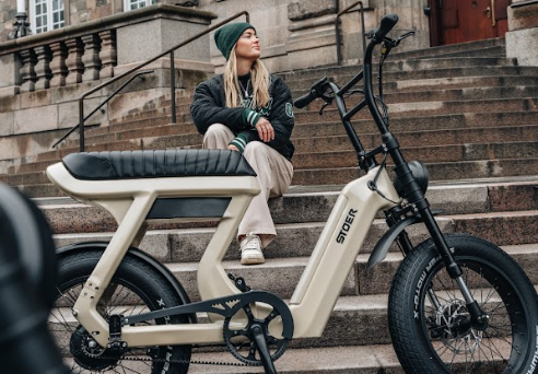 How does electric assistance work on a fatbike?